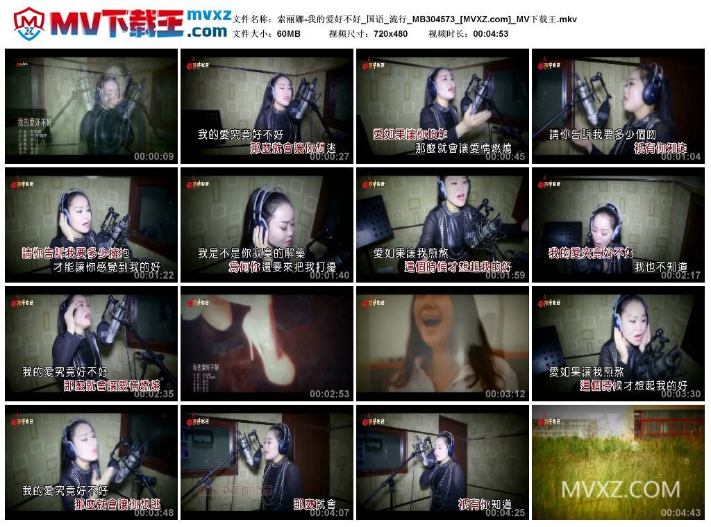 索丽娜-我的爱好不好_国语_流行_MB304573